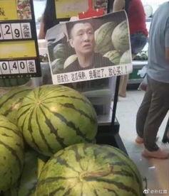 瓜哥免费吃瓜,揭秘娱乐圈幕后真相